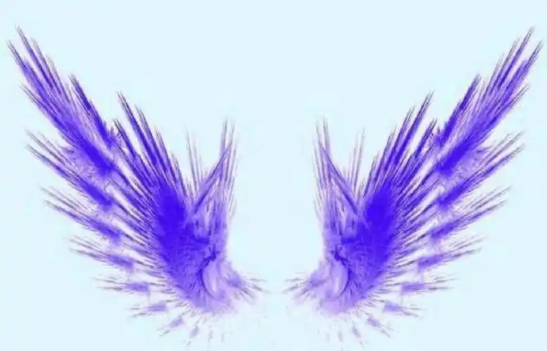 十二星座专属梦幻翅膀①