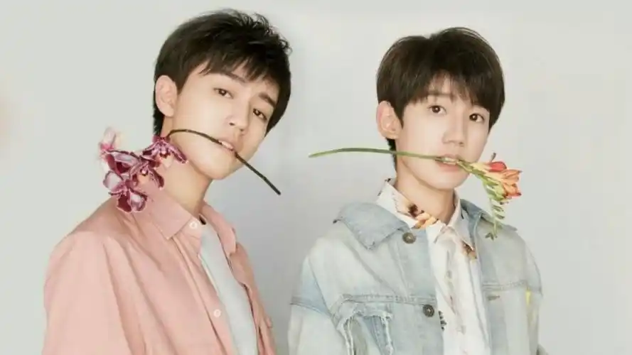 王俊凯王源粉丝线下打架,西安警方通报:系歌迷为抢占位置所引发