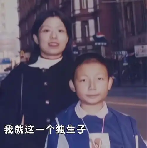 再出金句许敏控诉杜新枝隐瞒乙肝病史杜新枝用了这四字回应