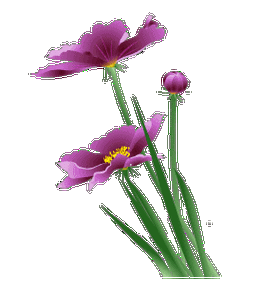 【转载】【自制透明gif图片】花草系列04