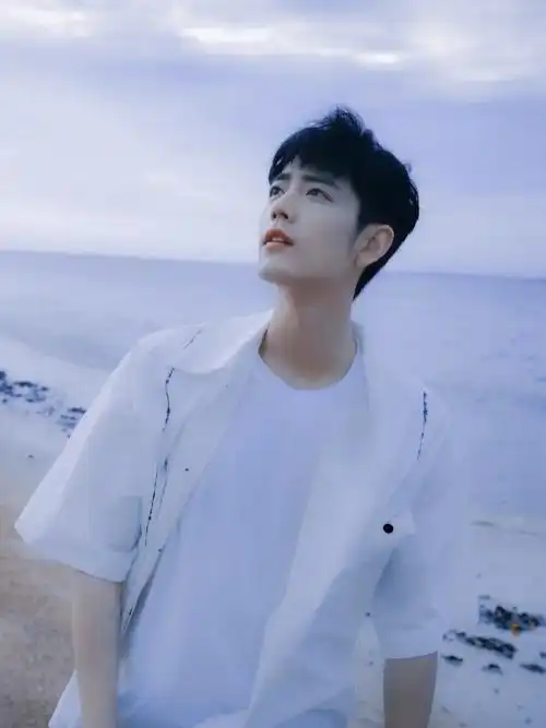 是肖战啊海边的少年