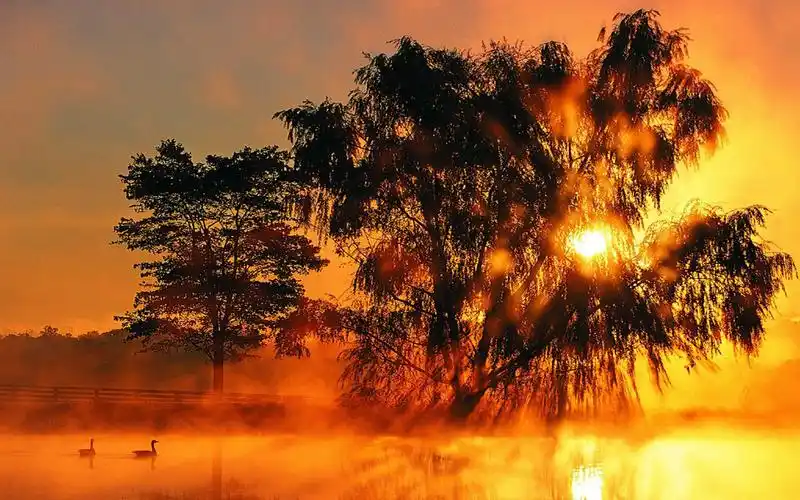 夕阳红风景桌面壁纸 1920x1200【20p】 夕阳红,风景,桌面壁纸