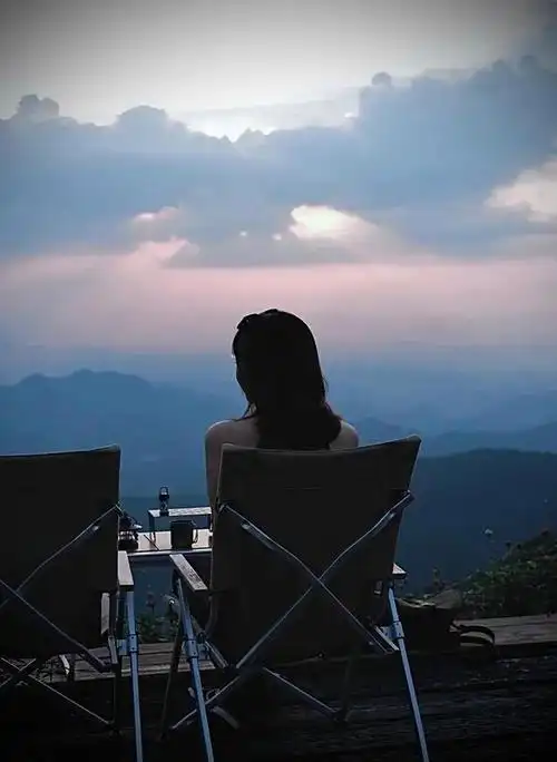 静静地坐在窗前,看着窗外的美景,任思绪随着风儿飘动.2.