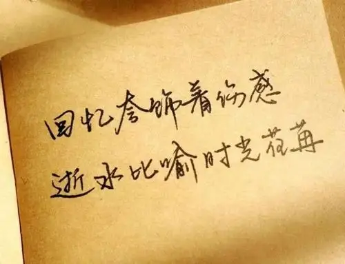 那就随它去,短暂的阳光也一样温暖了心灵,总有些时光值得怀念却也回不