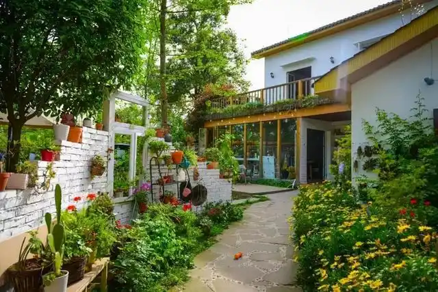 北方室内适合种什么花草(冬天院子里不知种什么)(1)