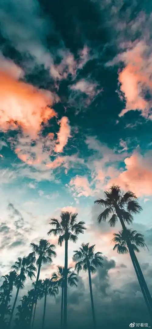 4k超高清竖屏|很火的潮图壁纸|高清1080p