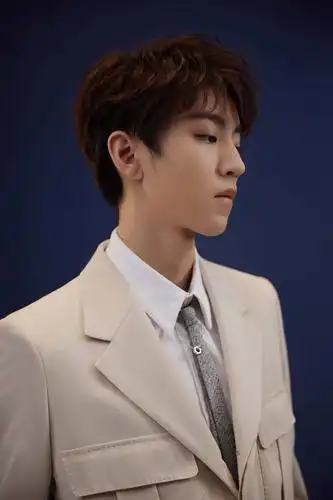 王俊凯儒雅亮相时尚先生盛典 实力备受肯定荣膺两项荣誉__凤凰网