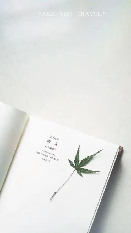 白色小清新简约文字壁纸情人