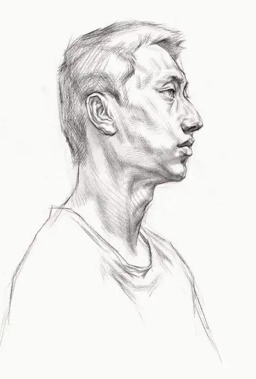 素描头像结构赏析