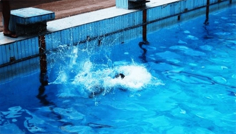 天津女子泳池溺亡丈夫获赔3326万尸检后丈夫却被判死刑