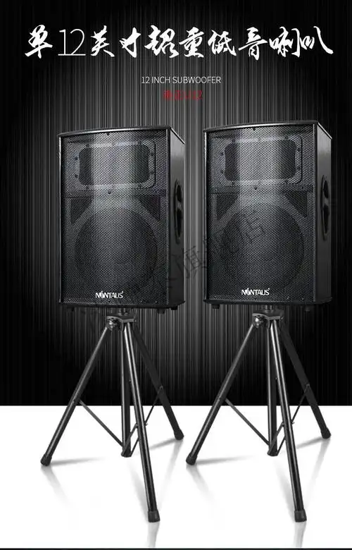 山水sansui适用wjhh音箱户外大功率舞台大型演出婚庆落地音响套装调音