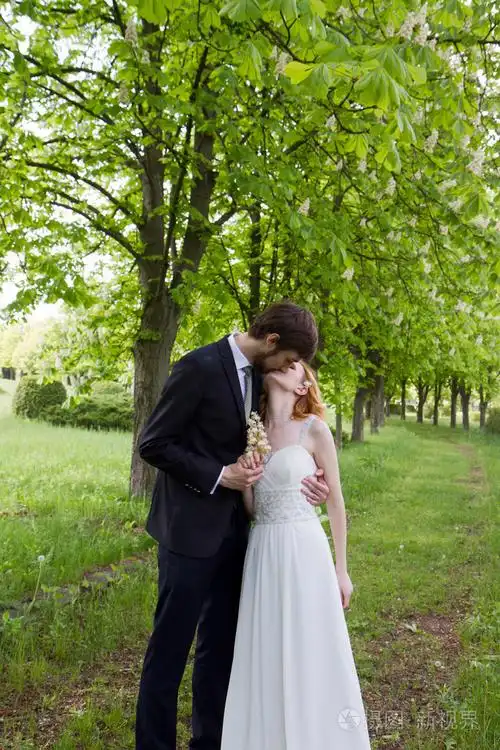 婚礼上的亲吻新娘和新郎照片-正版商用图片1oa3sm-摄图新视界