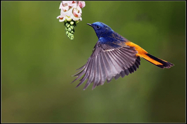 850_565gif 动态图 动图