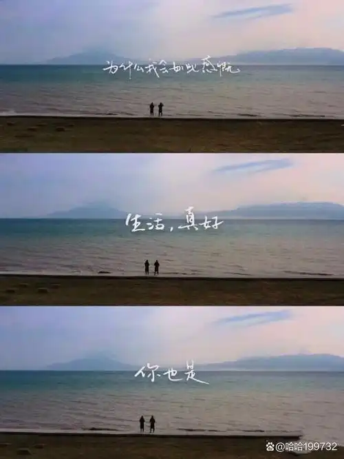 你好生活,一部能让人静下心来看的综艺