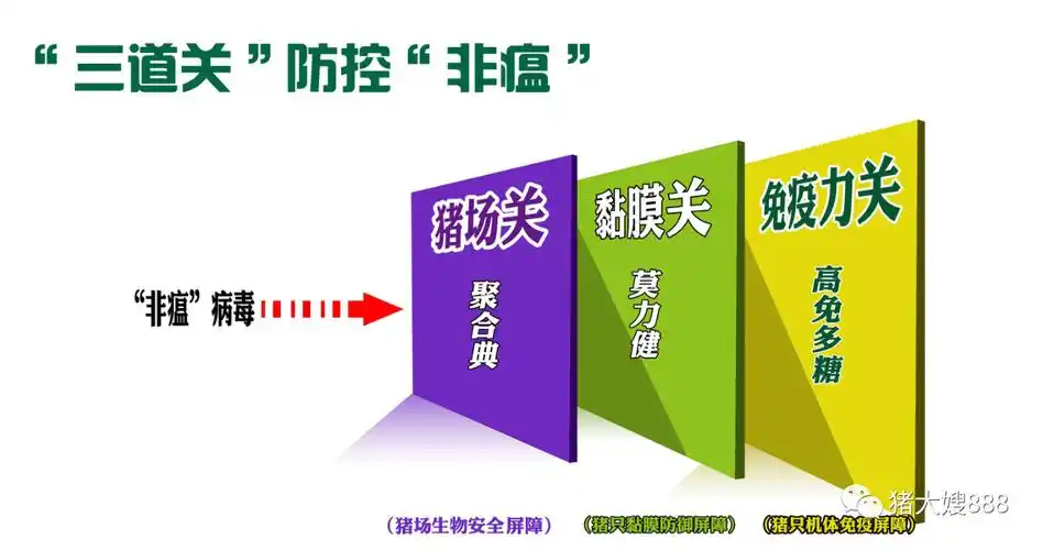 "莫力健"有效打造"猪只黏膜防御屏障",把好"黏膜关"