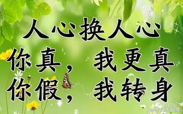 人心换人心你真我更真句句经典说得太好图片美的太惊艳了