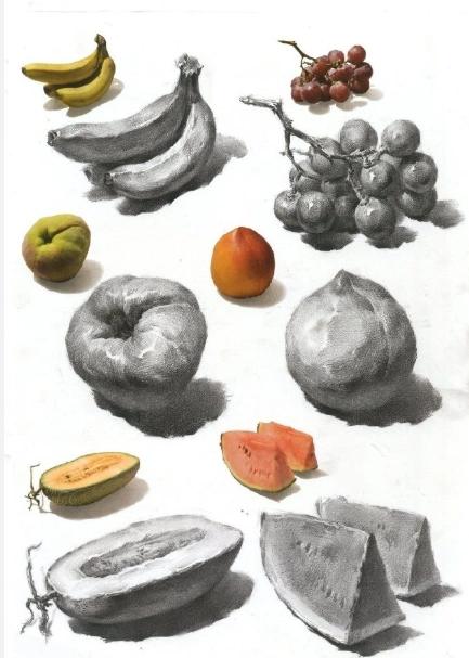 单体参考素材  关键词:洋葱  土豆   茄子  莲藕  苹果 彩椒  哈密瓜