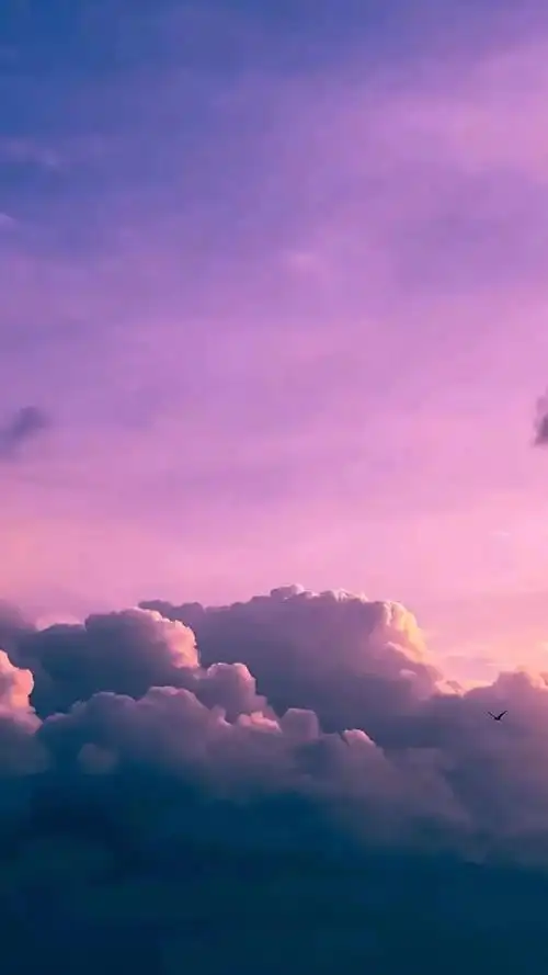 紫色系壁纸重新放送