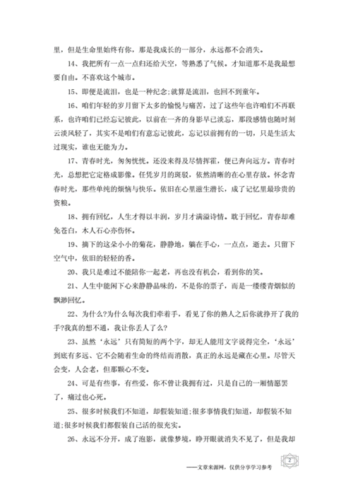 回忆美好过去的优美句子优美句子docx7页