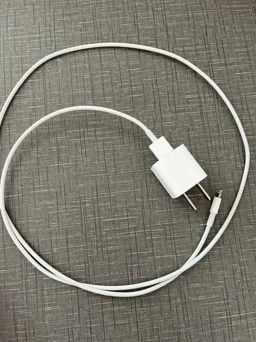 苹果11原装充电器有要的吗?
