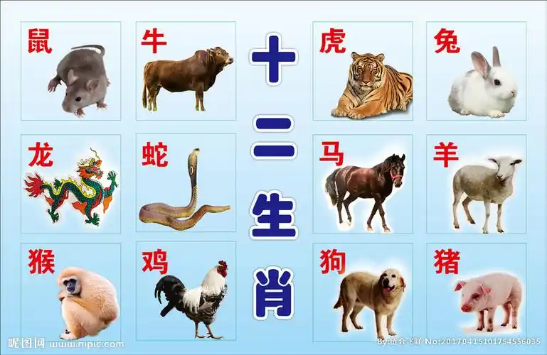十二生肖图片