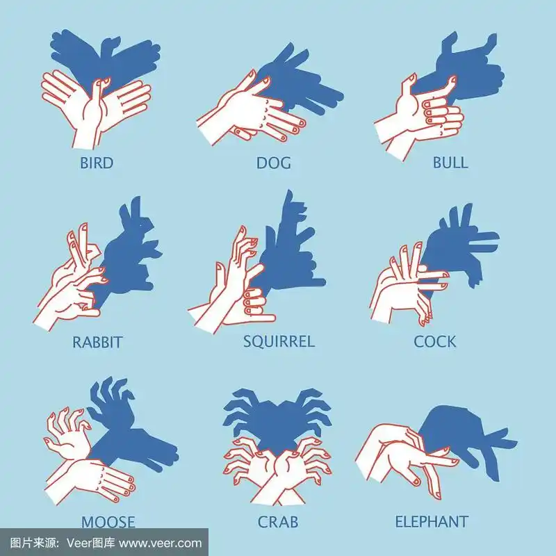 影子剧院.手势就像飞翔的鸟.矢量图的影子手木偶.