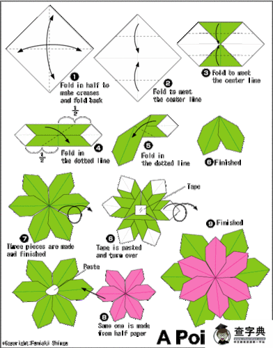 一品红,大戟科大戟属植物,又名为圣诞花,是在圣诞节用来摆设的红色
