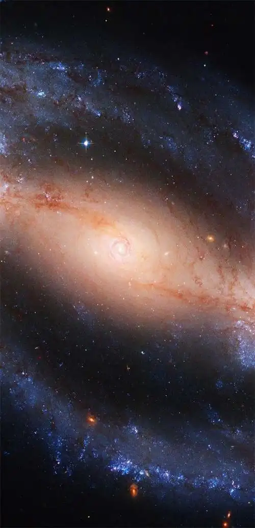 700_1450竖版 竖屏