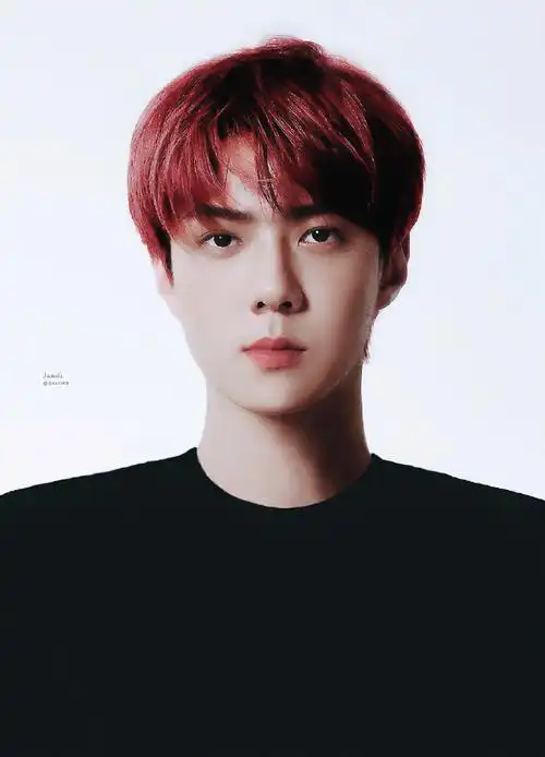 世勋-exo200706《1 billion views》【饭制图】【94sxs01】勋勋证件照