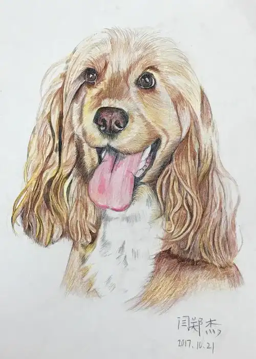 飞云优秀小画家--闫郑杰绘画作品展