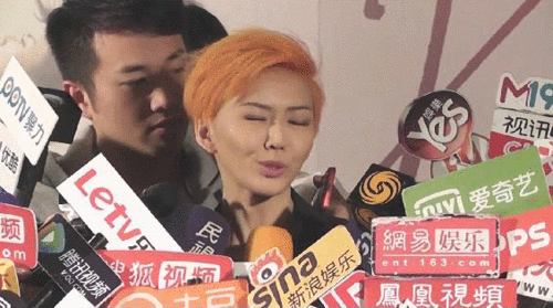 采访孙燕姿女歌手笑gif动图_动态图_表情包下载_soogif