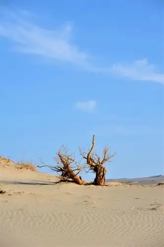 新疆无人区罗布泊(黎明:摄影作品二)