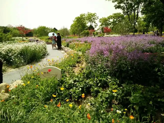 游览宿迁三台山国家森林公园 - 美篇