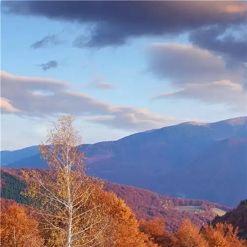 独一无二的风景头像