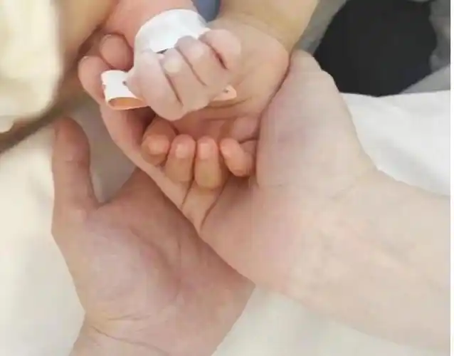 两只小手由他的母亲握着,一家四口的大手合着小手