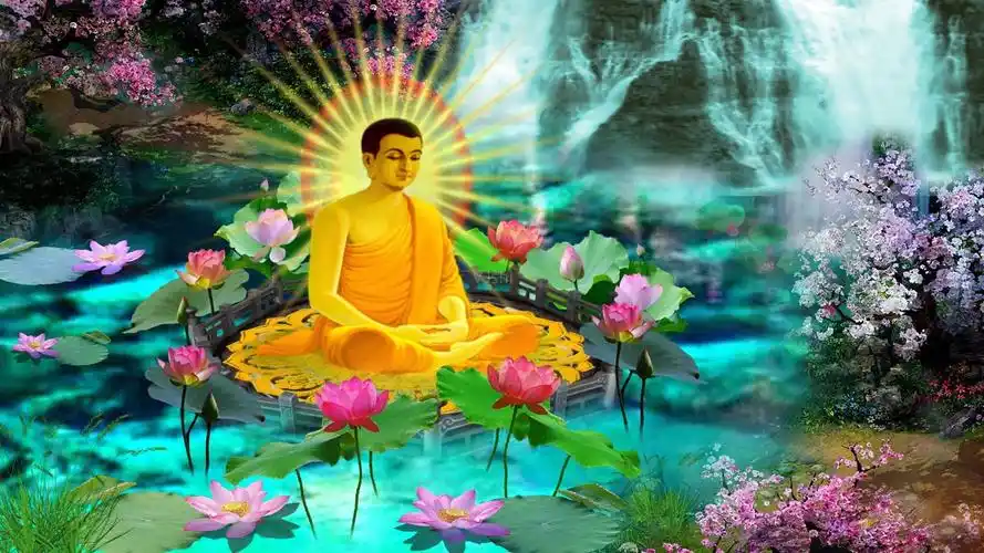 荷花池极乐世界阿弥陀佛