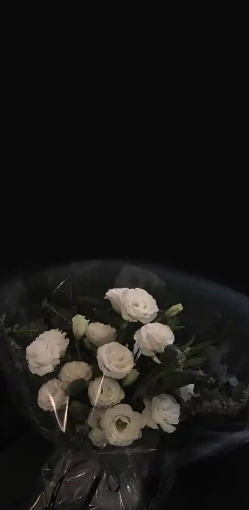 ins小众高级手机壁纸ins小众高级壁纸