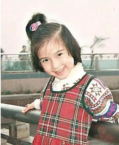 其它完全看不出了刘嘉玲,简直一直就没变过佟丽娅,小时候就很