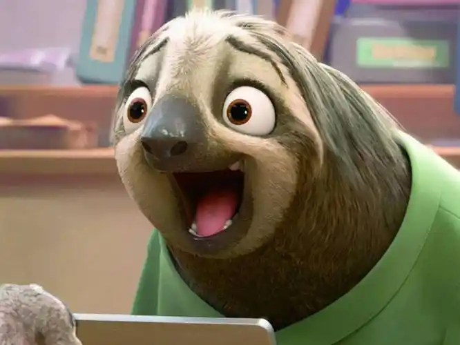 如何回答孩子的提问「为什么树懒很懒」?_活动_动物_身体