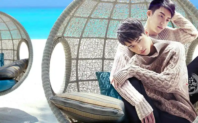 爱猫却对猫过敏人士