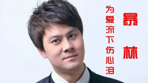 暴林的《为爱流下伤心泪》,自从你走后,从此以后没有人相守