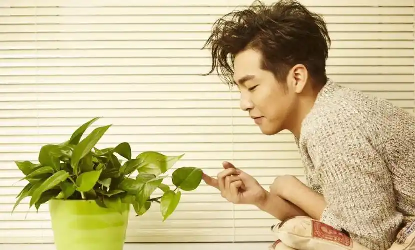 成熟型男邹廷威帅气写真,高清图片-壁纸族