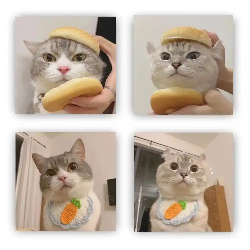 一组可爱搞怪的猫咪情侣头像猫咪头像