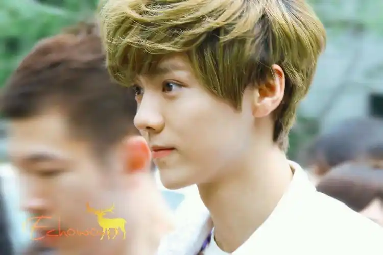 鹿晗- 堆糖,美图壁纸兴趣社区