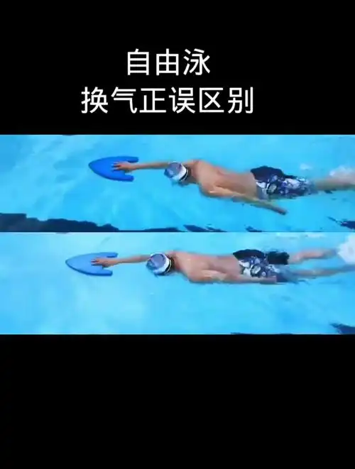 你的自由泳换气是哪种?