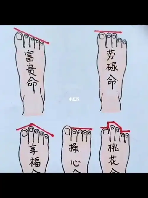 你是什么脚型63反正我是命由我不由天