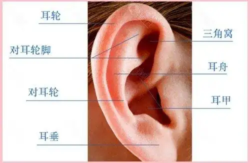 孩子先天性耳廓畸形,耳模无创错过了矫正时间,找西安国际医学郭树忠