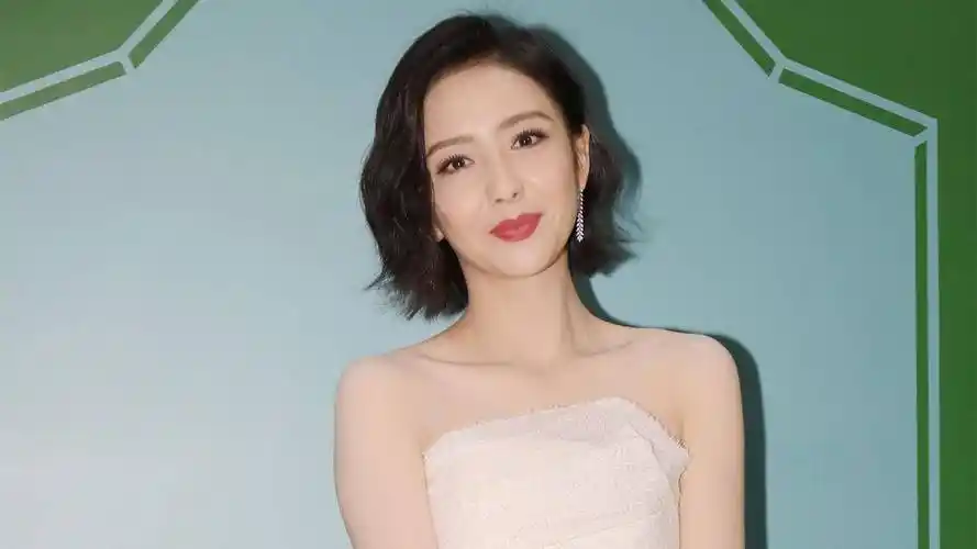 佟丽娅为什么要和陈思诚来往?