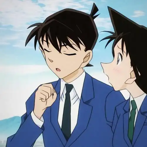 名侦探柯南丨新兰情头