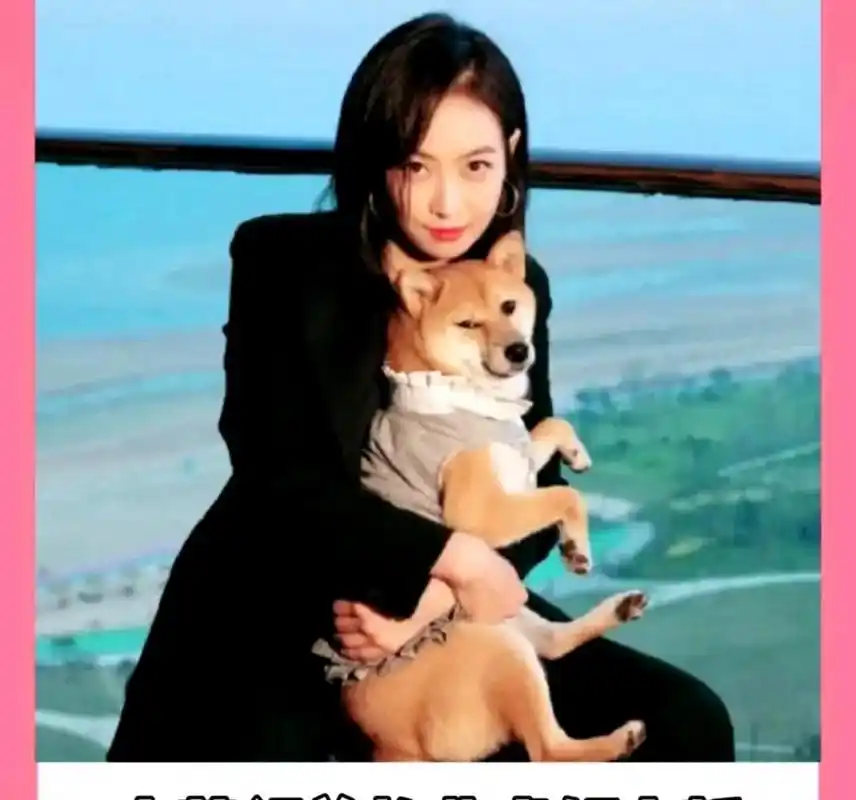 最近有人晒出了一组有趣的照片,其中锅由张子枫担任,碗则是宋茜使用的